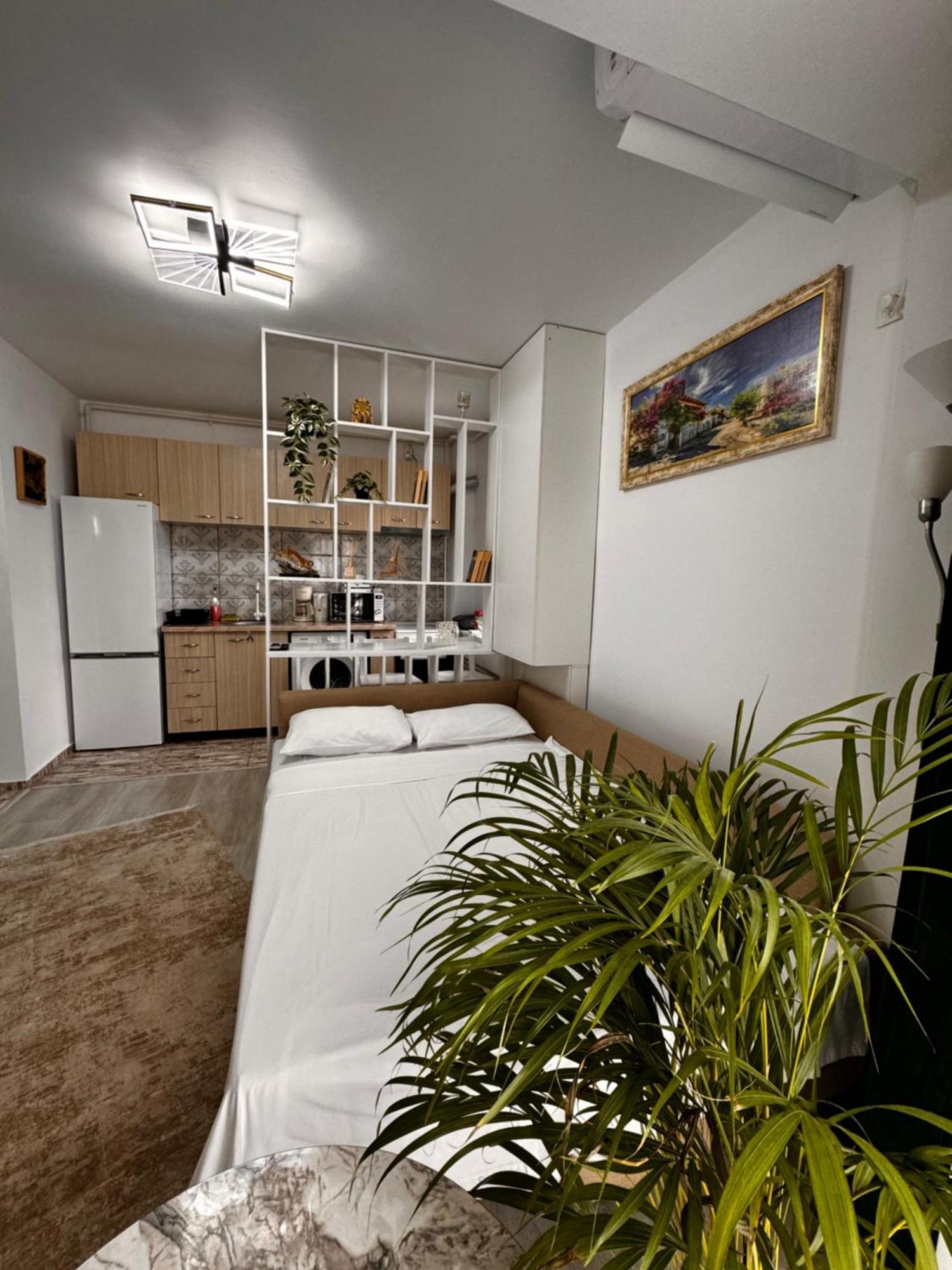 Marului Residence Bucureşti Ngoại thất bức ảnh